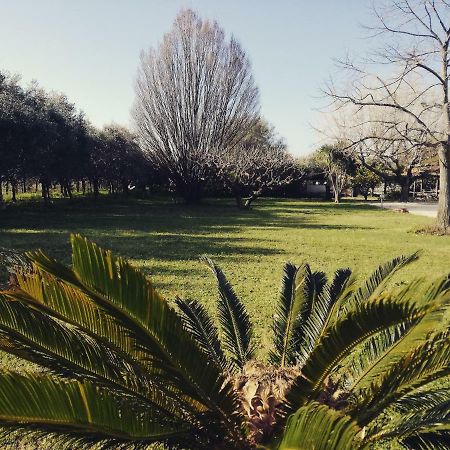B&B Villa Napoli Battipaglia Kültér fotó