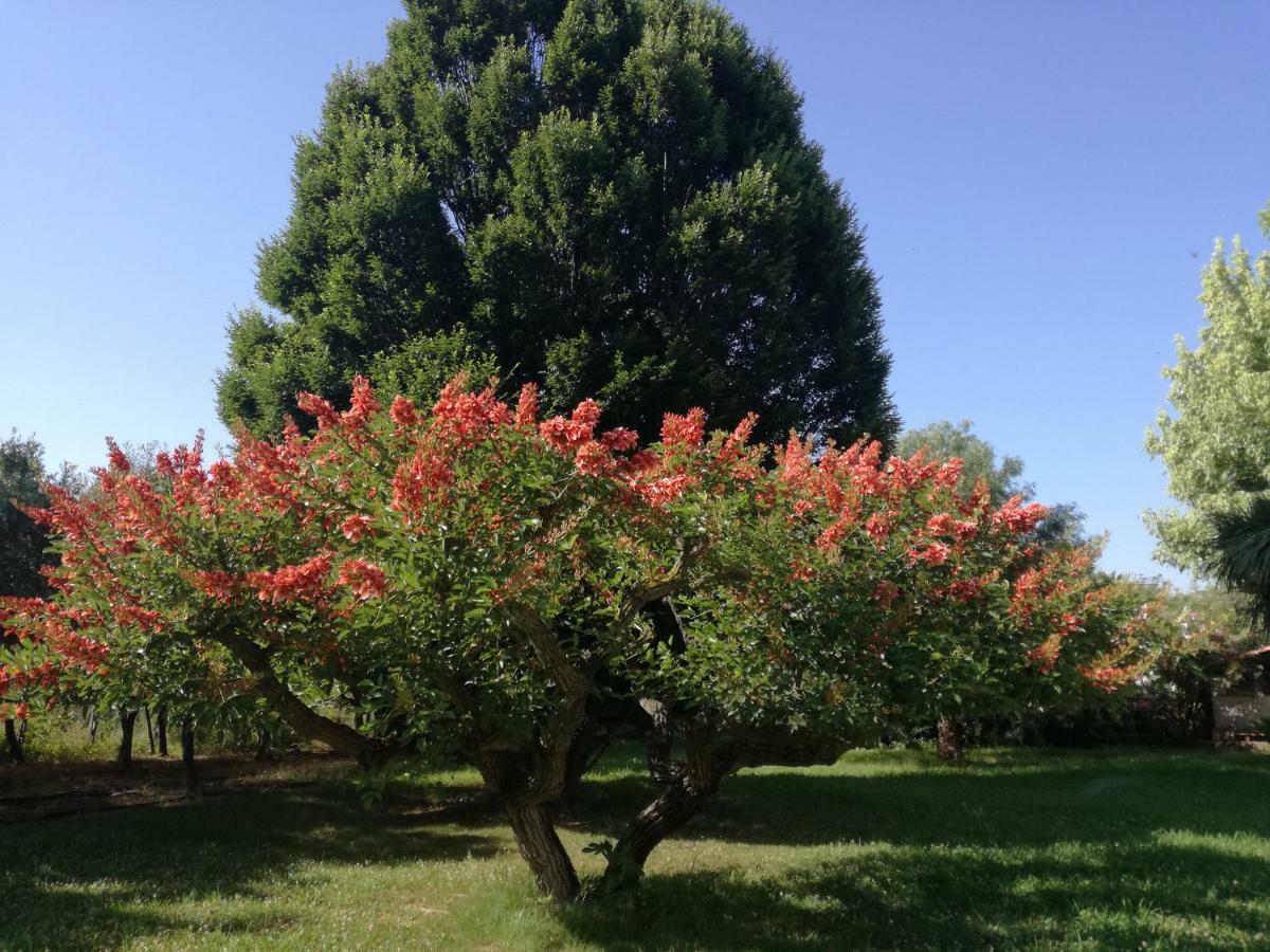 B&B Villa Napoli Battipaglia Kültér fotó