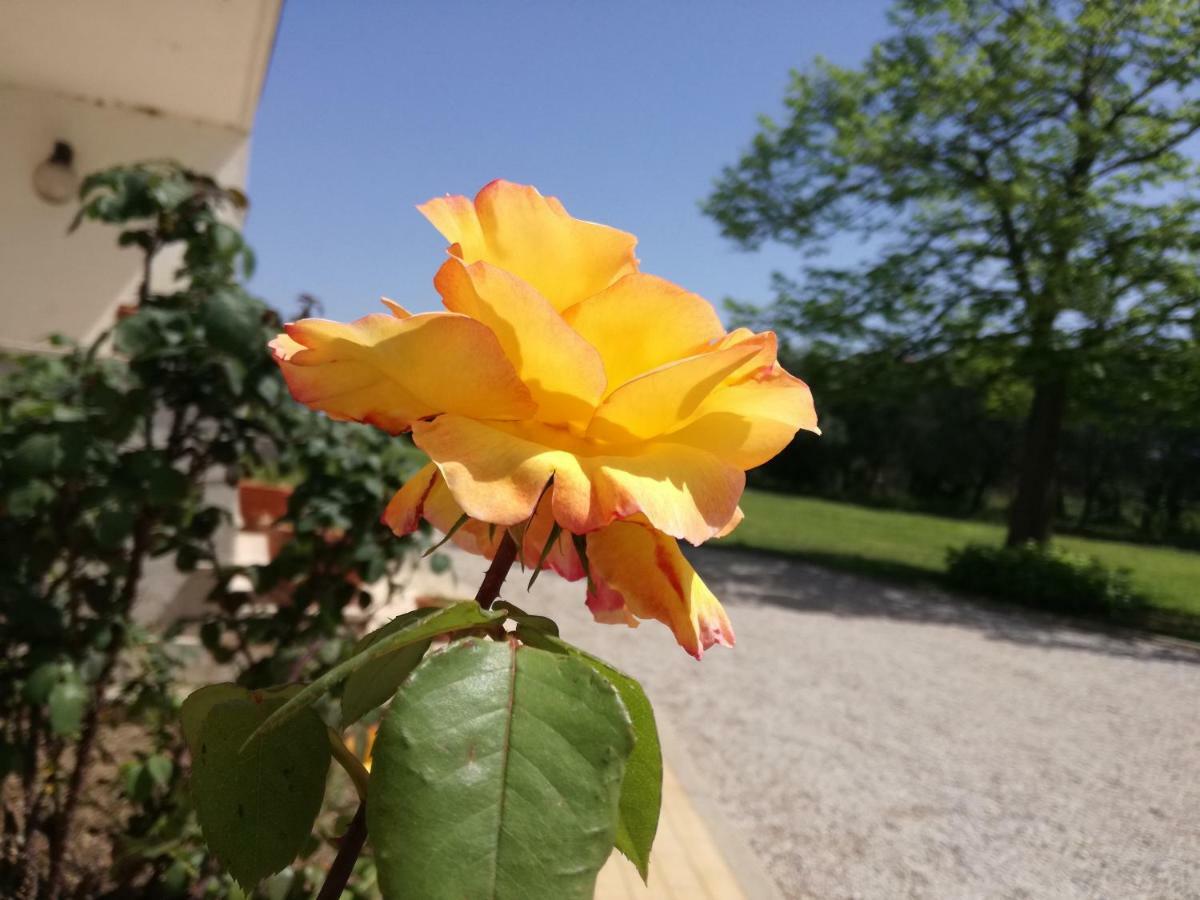 B&B Villa Napoli Battipaglia Kültér fotó