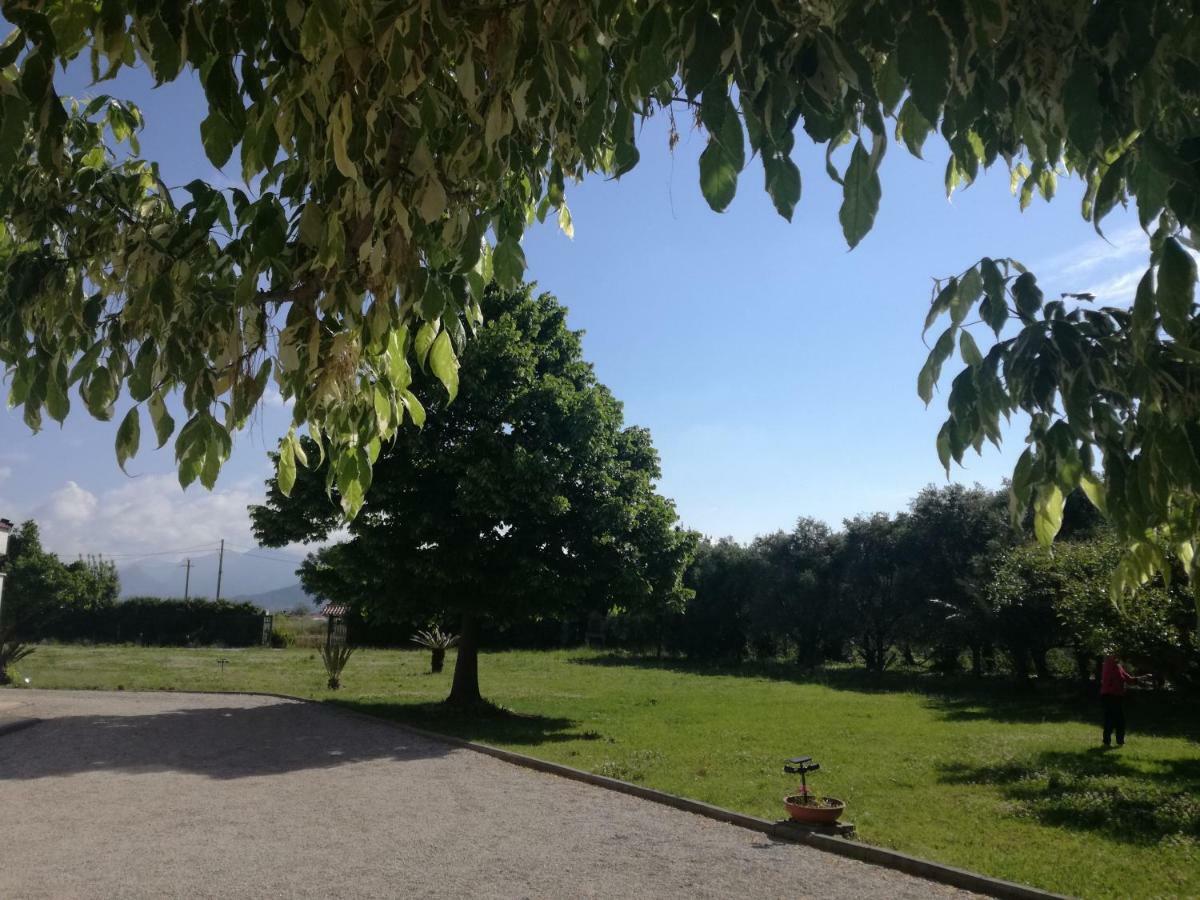 B&B Villa Napoli Battipaglia Kültér fotó