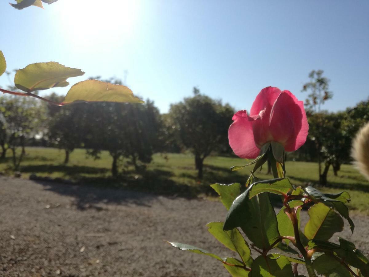 B&B Villa Napoli Battipaglia Kültér fotó