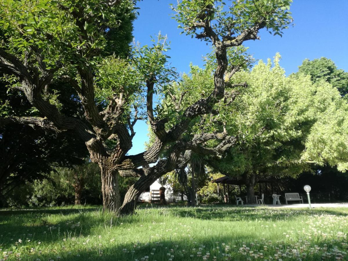 B&B Villa Napoli Battipaglia Kültér fotó